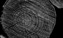 Holzstruktur / Wooden Structure Holzstruktur / Wooden Structure