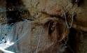 Detail eines alten Huehnerhofs / Detail of an old Chicken House Detail eines alten Huehnerhofs / Detail of an old Chicken House