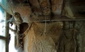 Fenster in einem alten Huehnerhof / Window in an old Chicken House Fenster in einem alten Huehnerhof / Window in an old Chicken House