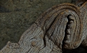 Wurzelstruktur auf der Bolla bei Linescio im Tessin / Root Structure in Bolla near Linescio Canton Ticino Wurzelstruktur auf der Bolla bei Linescio im Tessin / Root Structure in Bolla near Linescio Canton Ticino
