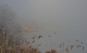 Tuerlersee im Nebel / Misty Lake of Tuerlen Tuerlersee im Nebel / Misty Lake of Tuerlen