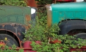 Saurer Oldtimer Lastwagen / Truck Saurer Oldtimer Lastwagen / Truck
